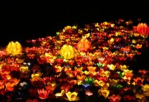 ĐÈN HOA ĐĂNG ĐÈN HOA ĐĂNG